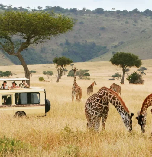 des-africa