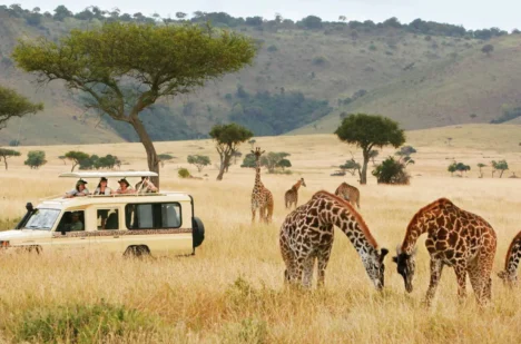des-africa