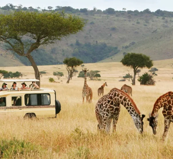 des-africa