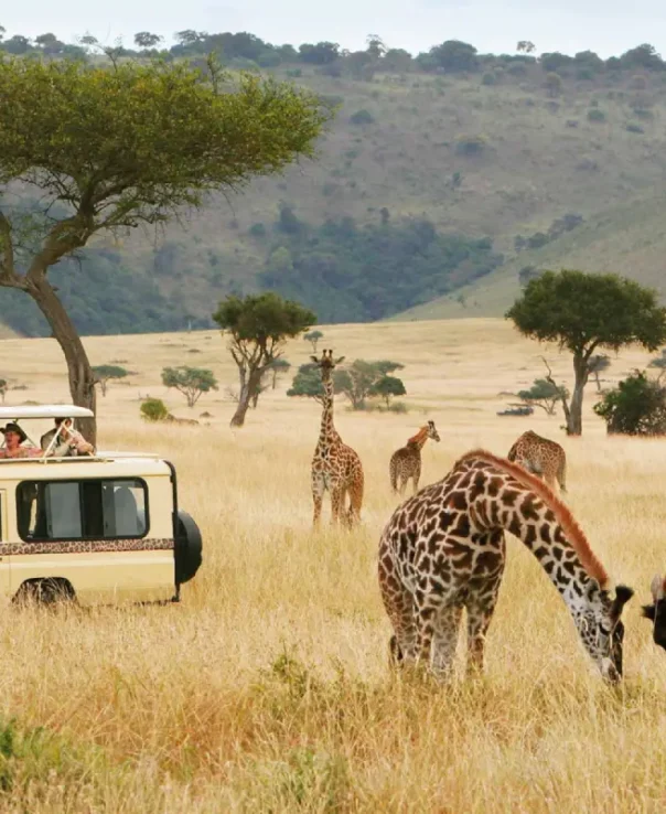 des-africa