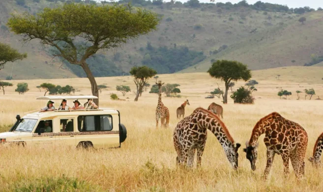 des-africa